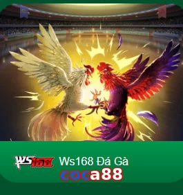 coca88